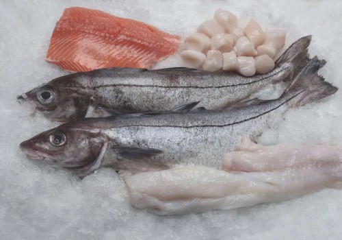 قیمت خرید ماهی منجمد جنوب با فروش عمده